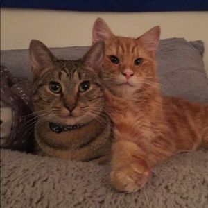 Meet your Posher, Daniel